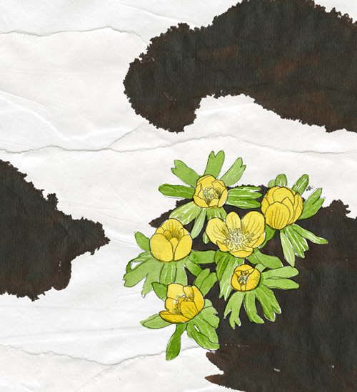 Vintern rasat, liten blogg