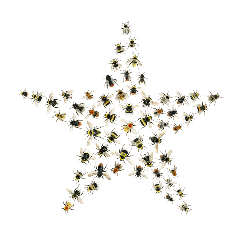 Julkort 2019