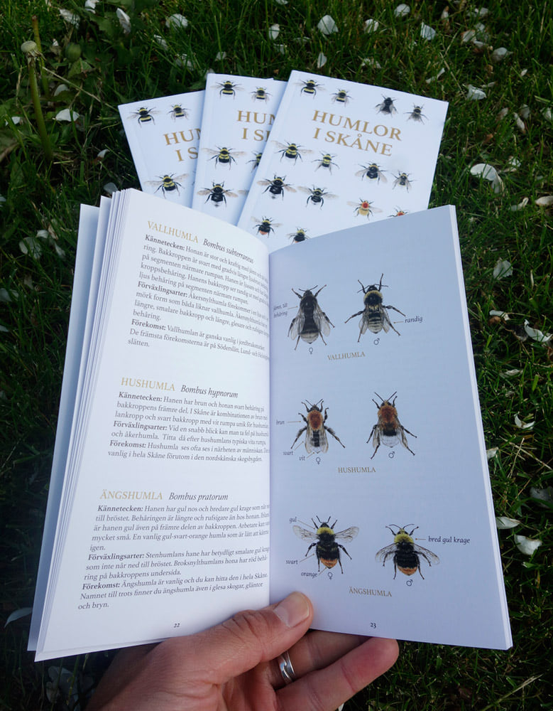 Humleguide