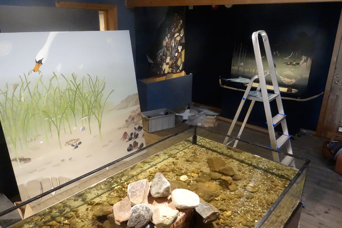 Naturum Kullaberg