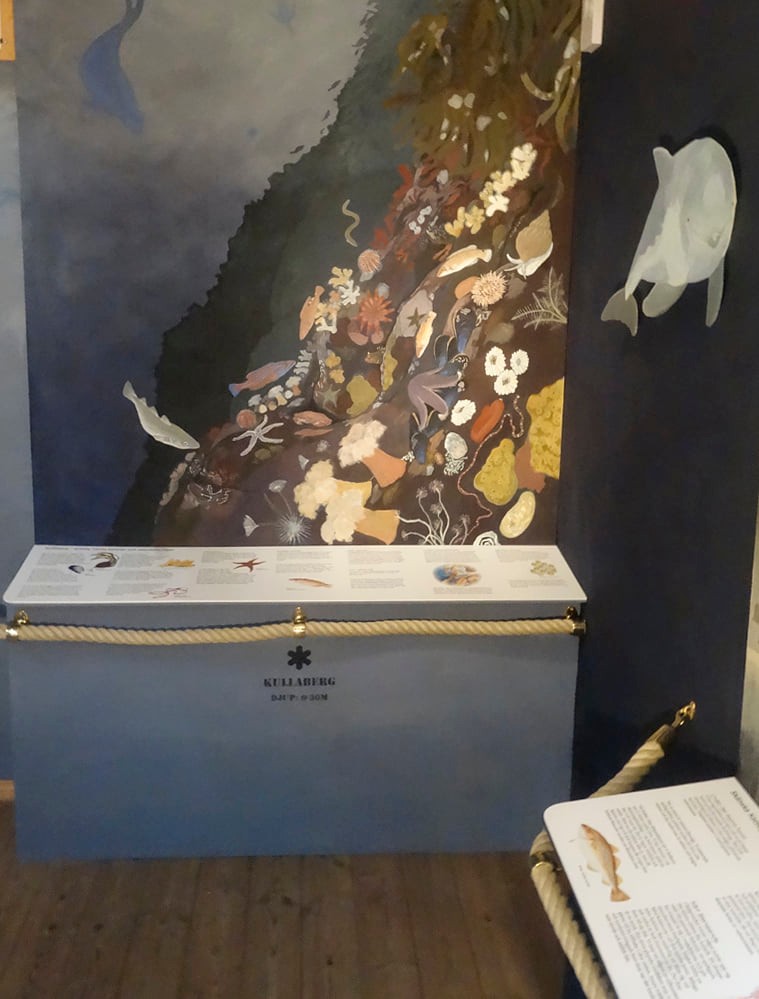 Naturum Kullaberg